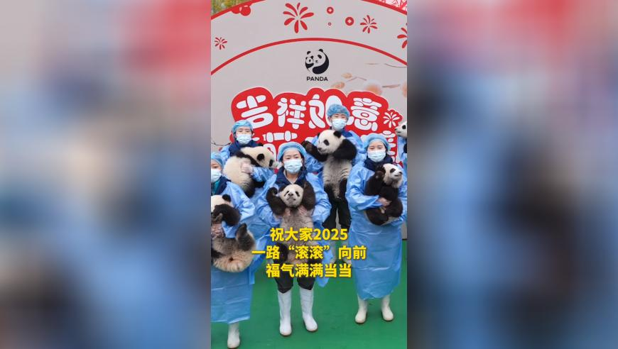 阿凡达票房为何稳居第一,澳门特马2025年开奖结果,多元化方案执行策略_入门版V7.98