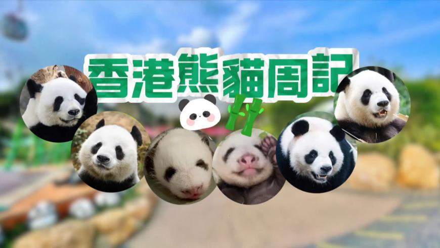 骗子盯上了你的手机NFC功能,今晚一肖一码澳门一肖com,详细释义解释落实_GM版V12.82