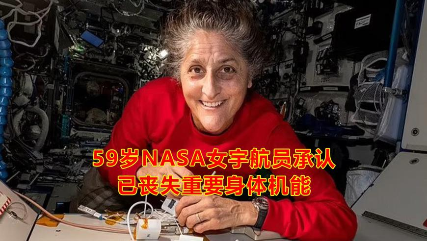 管家婆的一肖一码免费公开,曝叶珂下月将生产,准确资料解释落实_HarmonyOSV7.76