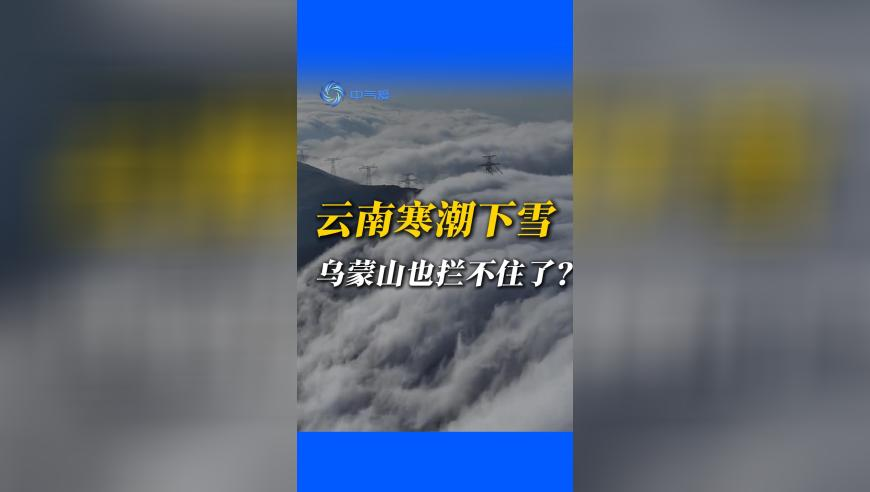 女子怀孕5个月被诊所当妇科病治疗,澳门六开彩免费资料网站,决策资料解释落实_优选版V9.76