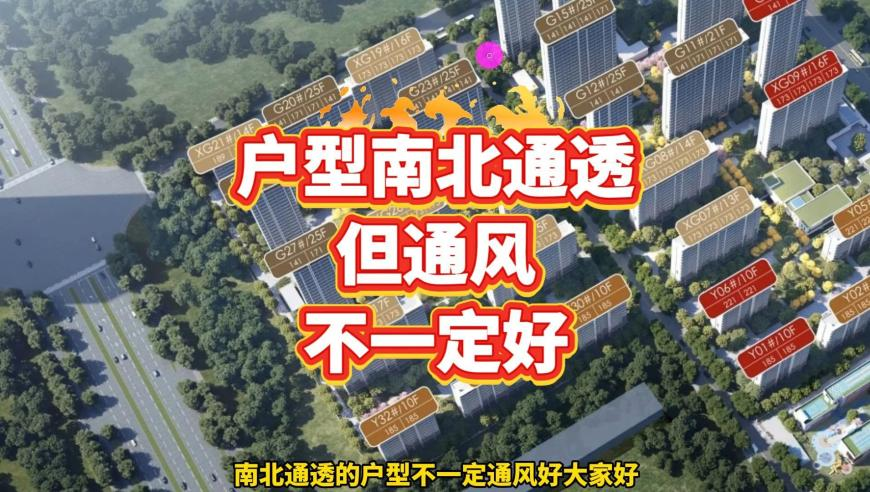 新奥门开奖记录十开奖结果,“联合国开会精英”网红大量删视,整体规划执行讲解_高清版V12.87