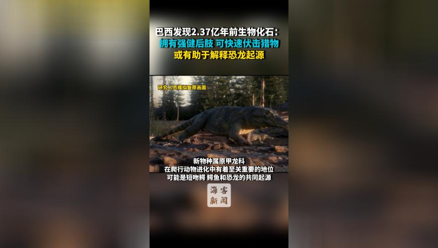 685858com澳彩图库澳门开奖直播澳门图库澳门挂牌,黑龙江省考成绩发布,广泛的解释落实方法分析_精英版V9.73